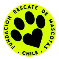 Hola, somos Fundación Rescate de Mascotas!